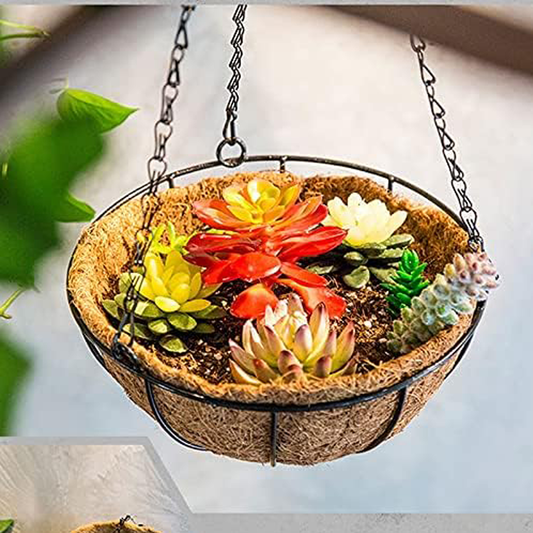 Hanging Coco Basket Planter – Metal Chain with Coco Liner (8, 10, 12, 14 Inch Sizes)