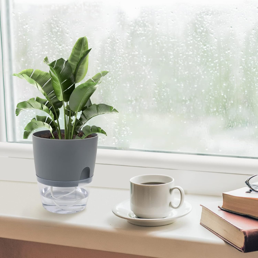Round Self Watering Plant Pot with Reservoir