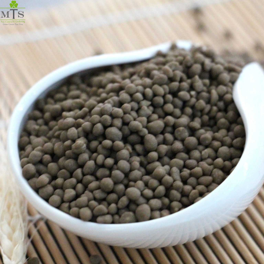 DAP Fertilizer 1KG – High Phosphorus Plant Growth Booster