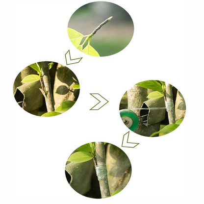 Grafting Tape Roll – Plant Grafting & Budding Tape