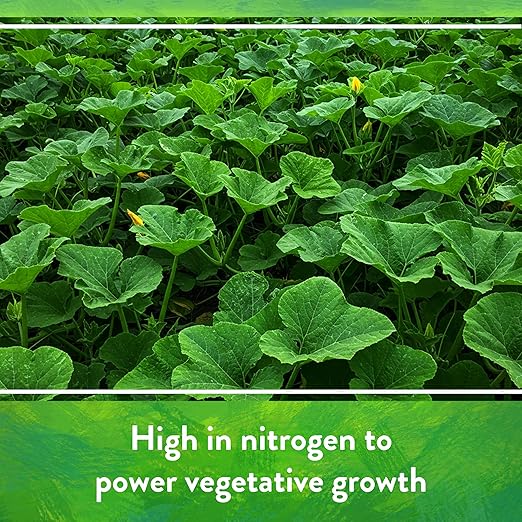 Bat Guano 7-3-1 Organic Fertilizer – 2 lb (0.91 kg)