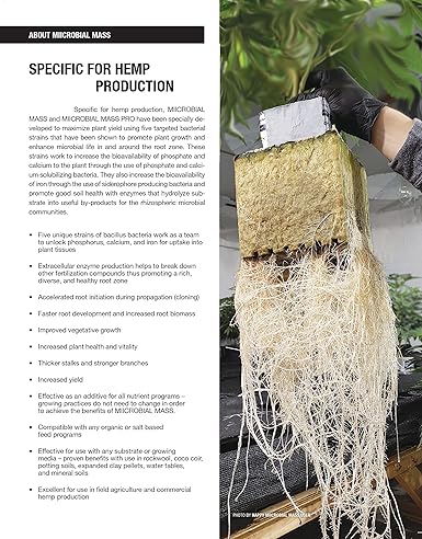 Microbial Mass – 250 ml Beneficial Microbe Concentrate