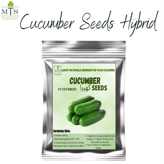Cucumber Seeds – High Germination Vegetable Seeds for Home Gardening