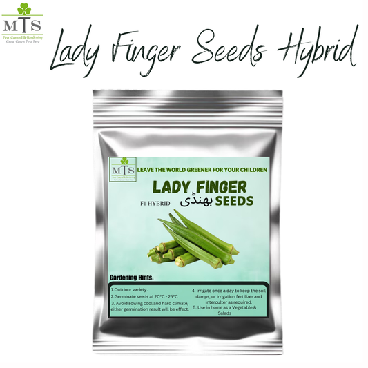 Bhindi (Lady Finger / Okra) Seeds – High Germination Vegetable Seeds for Home Gardening