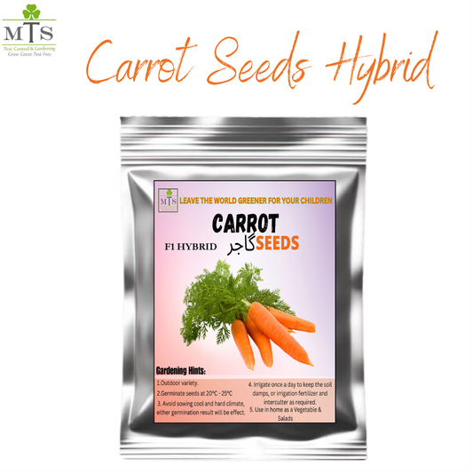 Carrot Seeds – High Germination Vegetable Seeds for Home Gardening