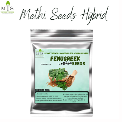 Methi (Fenugreek) Seeds – High Germination Herb Seeds for Home Gardening