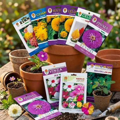 Pack of 10 Random Summer Flower Seeds with 1KG Coco Peat – Gardening Combo Offer