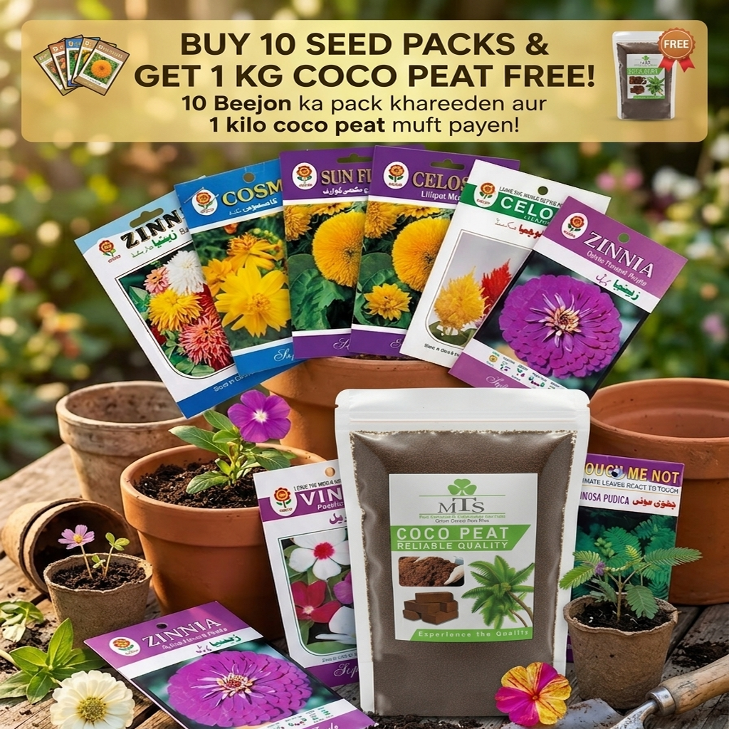 Pack of 10 Random Summer Flower Seeds with 1KG Coco Peat – Gardening Combo Offer