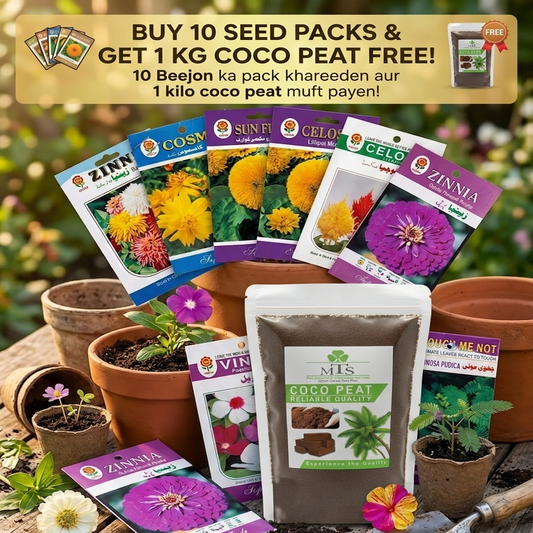Pack of 10 Random Summer Flower Seeds with 1KG Coco Peat – Gardening Combo Offer