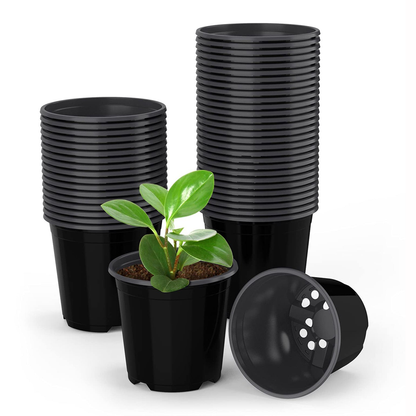 Plastic Pots 5 Inch – Durable Plant Pots for Indoor & Outdoor Use (PACK OF 3, 5 & 10)