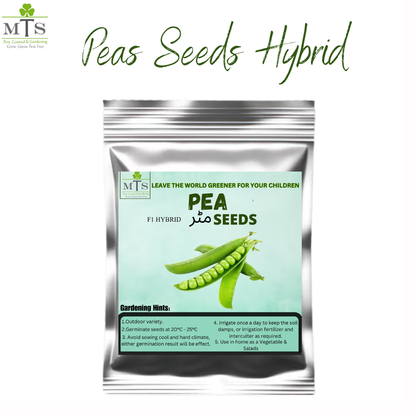 Peas Seeds (Matar) – High Germination Vegetable Seeds for Home Gardening