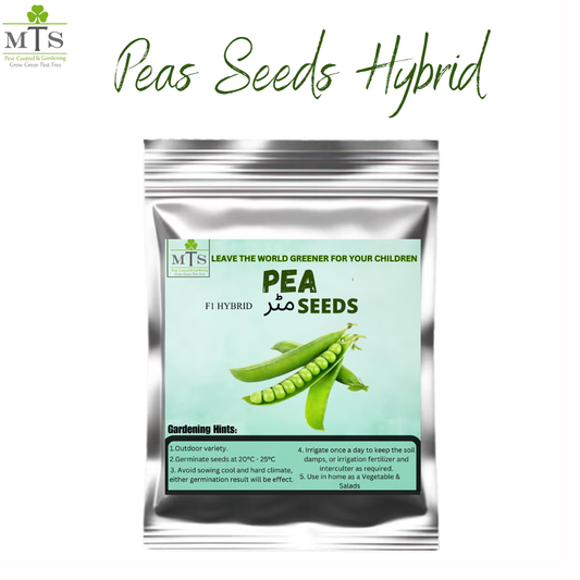 Peas Seeds (Matar) – High Germination Vegetable Seeds for Home Gardening