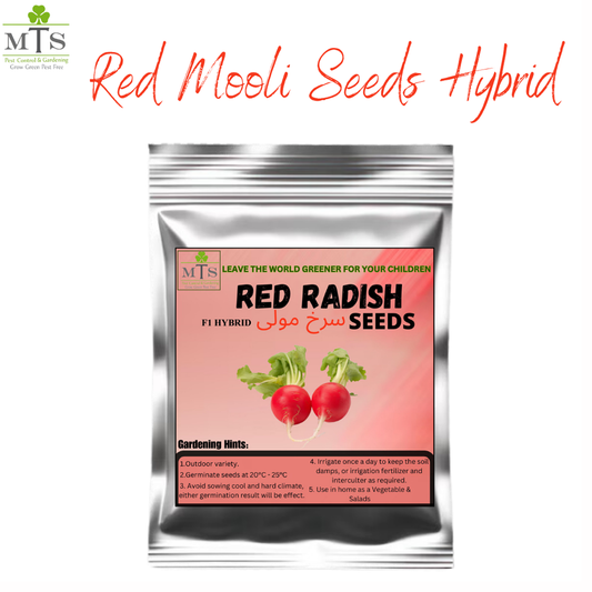 Red Radish Seeds – High Germination Vegetable Seeds for Home Gardening