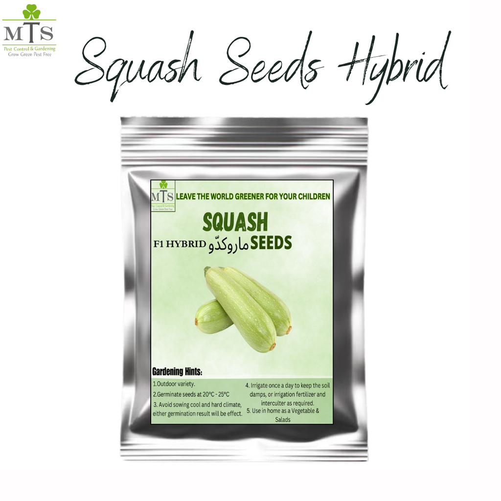 Squash Seeds – High Germination Vegetable Seeds for Home Gardening