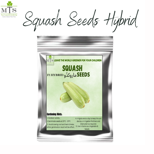 Squash Seeds – High Germination Vegetable Seeds for Home Gardening
