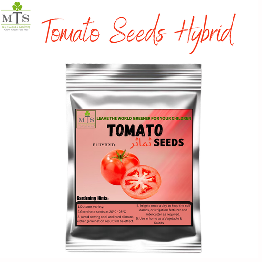 Tomato Seeds – High Germination Vegetable Seeds for Home Gardening