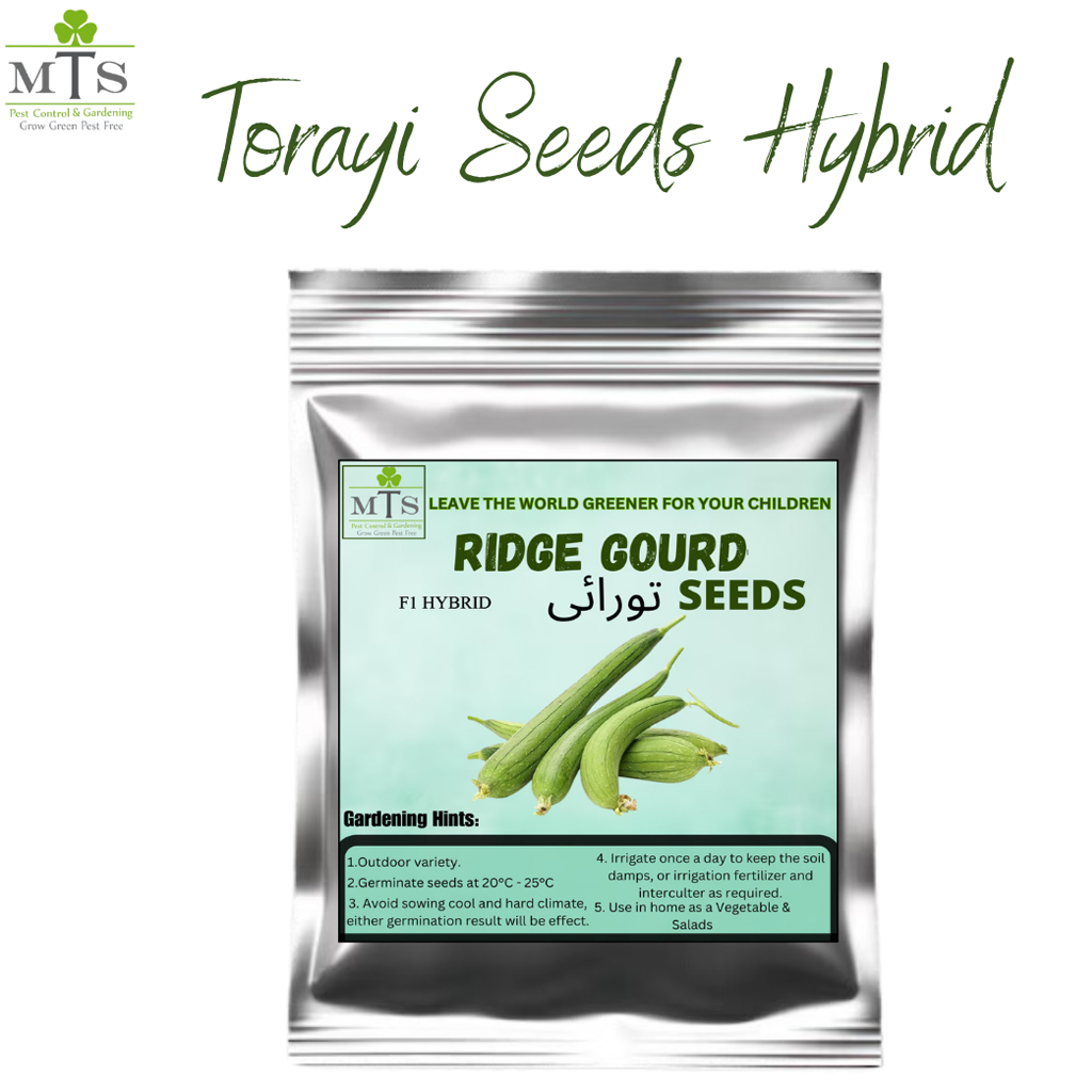 Turayi Seeds (Ridge Gourd) – High Germination Vegetable Seeds for Home Gardening