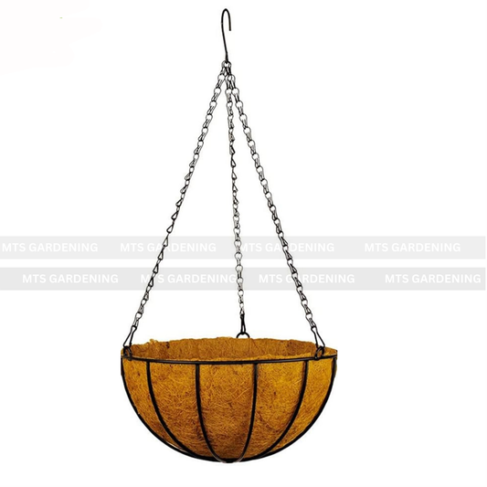 Hanging Coco Basket Planter – Metal Chain with Coco Liner (8, 10, 12, 14 Inch Sizes)