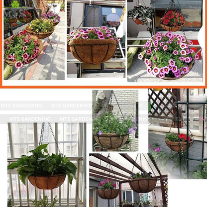 Hanging Coco Basket Planter – Metal Chain with Coco Liner (8, 10, 12, 14 Inch Sizes)