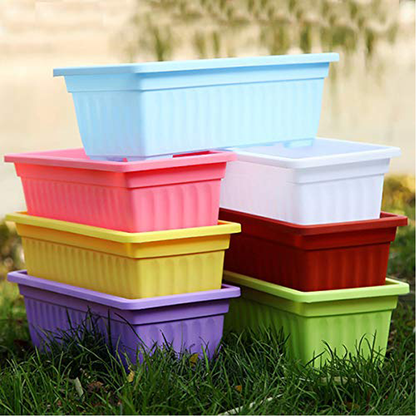 Colorful Seedling Tray pack of 1 – 8 Colors Available (Karachi Only Delivery)