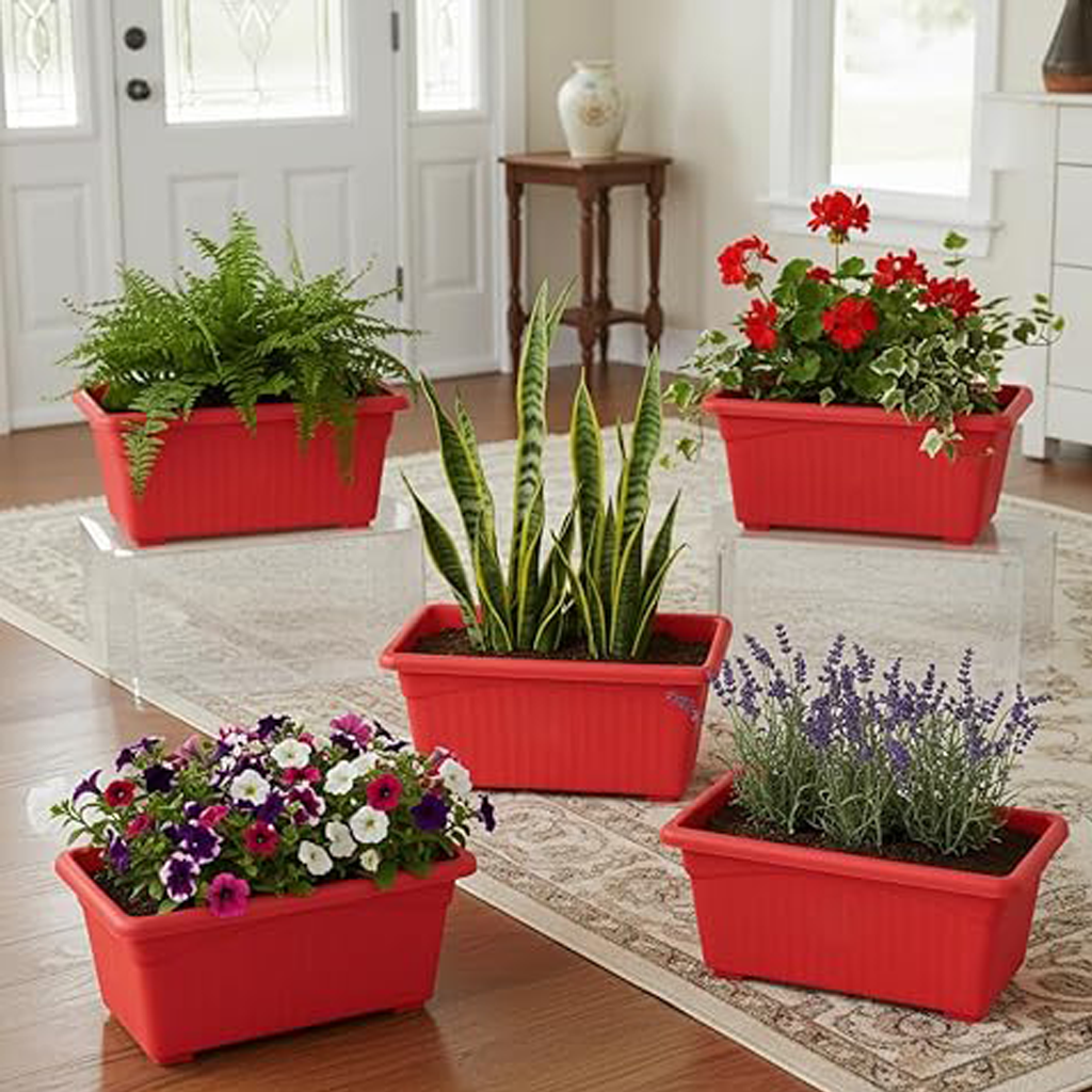 Colorful Seedling Tray pack of 1 – 8 Colors Available (Karachi Only Delivery)