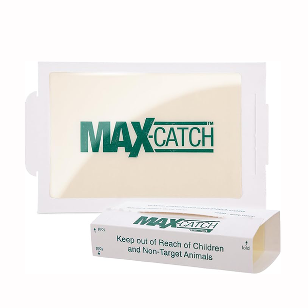 Catchmaster Max-Catch Mouse & Insect Glue Trap | Sticky Pest Control ...