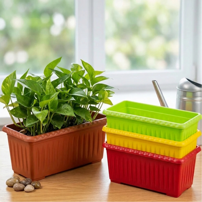 Colorful Seedling Tray pack of 1 – 8 Colors Available (Karachi Only Delivery)