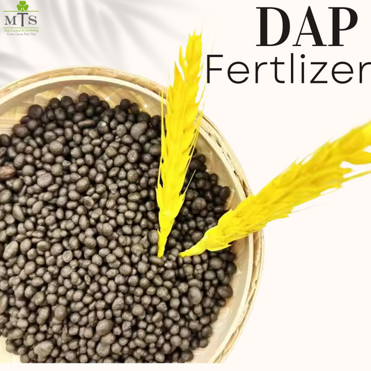 DAP Fertilizer 1KG – High Phosphorus Plant Growth Booster