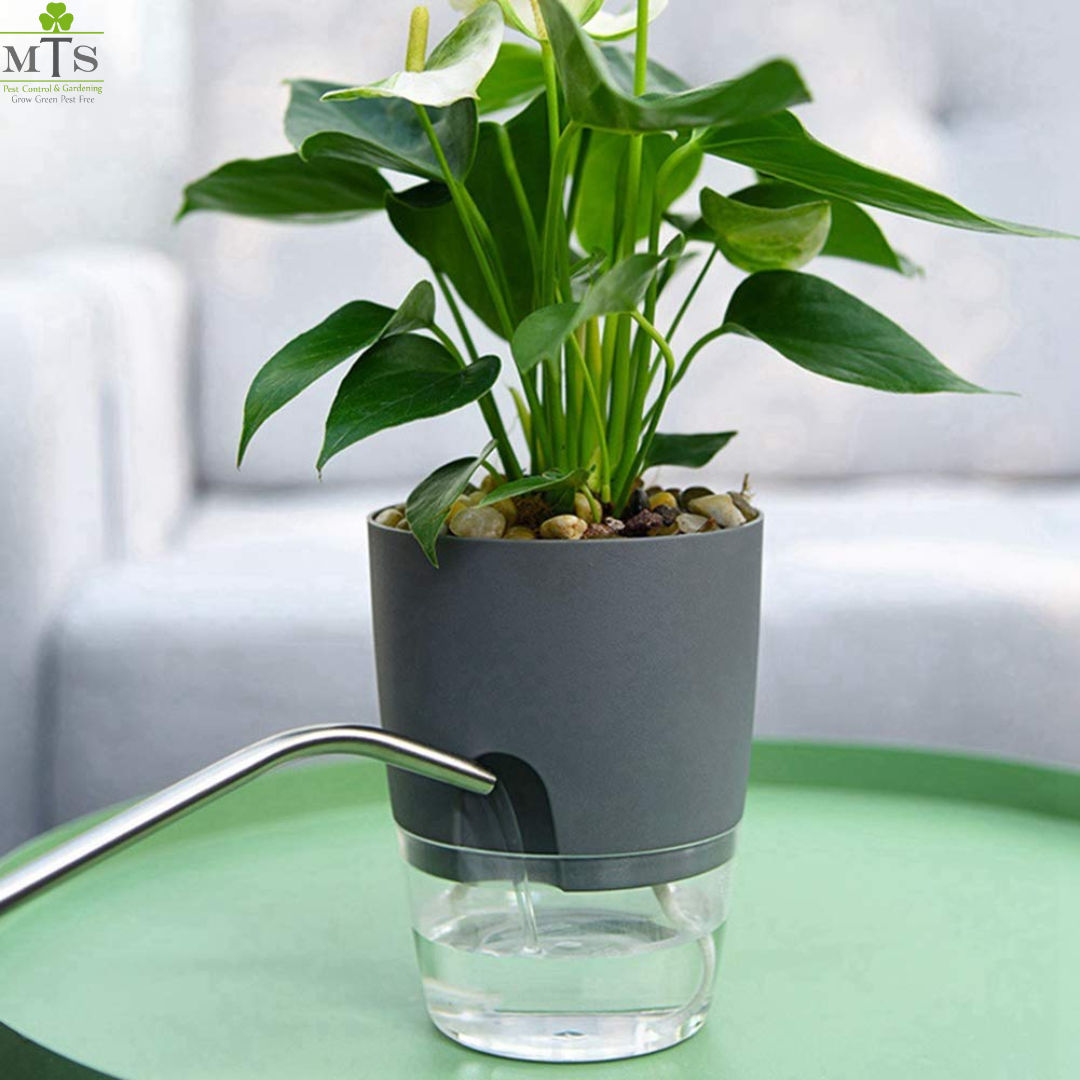 plant pot with water reservoir Round Self Watering Plant Pot with Water Reservoir (Pot Only)