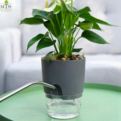 large plant pot with water reservoir Round Self Watering Plant Pot with Reservoir
