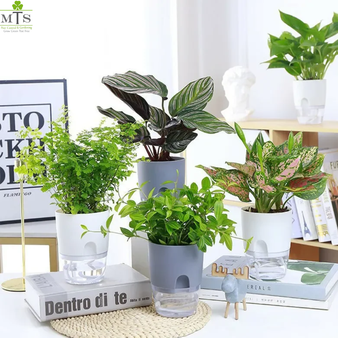 large plant pot with water reservoir Round Self Watering Plant Pot with Reservoir