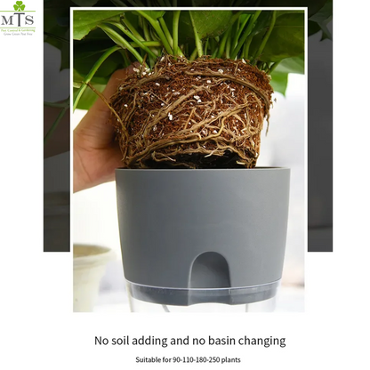 always keep me moist plant pot Round Self Watering Plant Pot with Reservoir