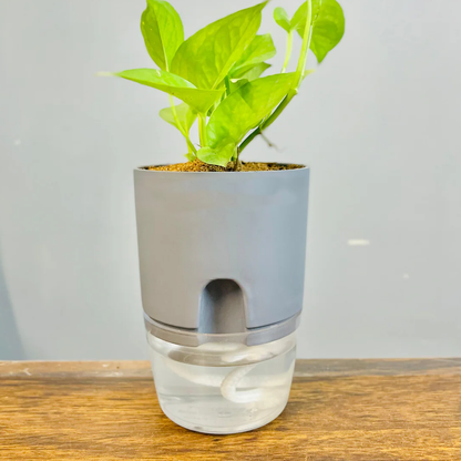 large plant pot with water reservoir Round Self Watering Plant Pot with Reservoir