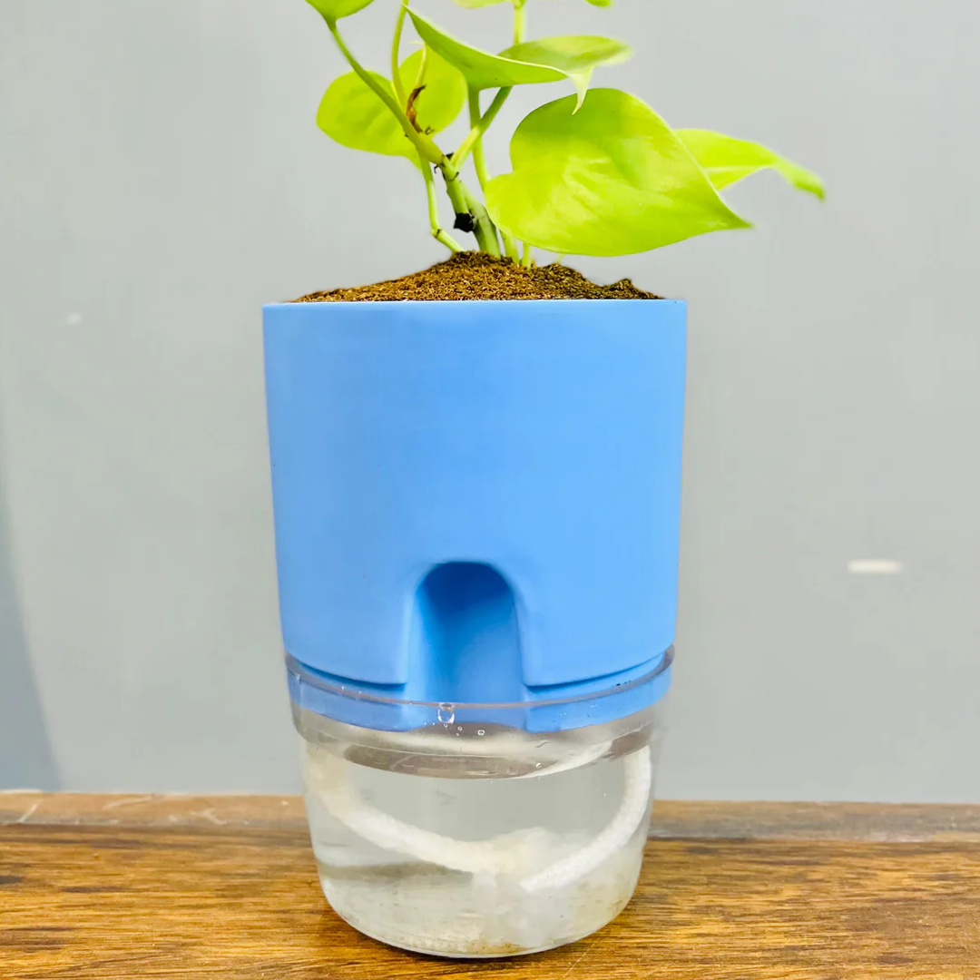 Round Self Watering Plant Pot with Water Reservoir (Pot Only)