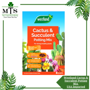 Cactus Potting Mix