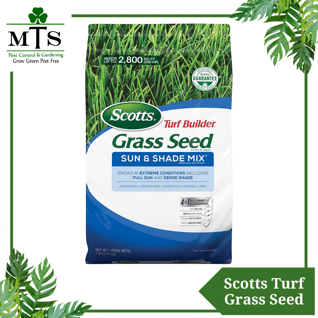 Scotts Truf Grass Seeds