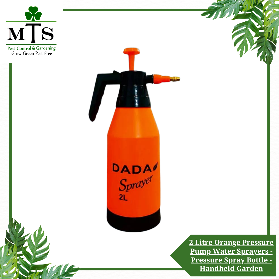 2 Litre Orange Pressure Pump Water Sprayers - Pressure Spray Bottle - Gardening Spray Pump Tool
