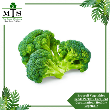 Broccoli Vegetables Seeds - Vegetables Seeds Packet - Excellent Germination - Healthy Vegetable