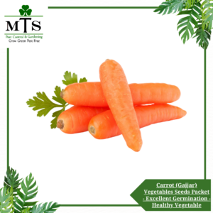 Carrot (Gajjar) Vegetables Seeds - Vegetables Seeds Packet - Excellent Germination - Healthy Vegetable