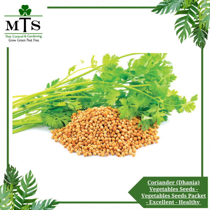 Coriander (Dhania) Vegetables Seeds - Vegetables Seeds Packet - Excellent Germination - Healthy Vegetable