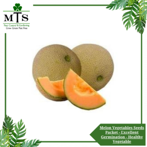 Melon Vegetables Seeds - Vegetables Seeds Packet - Excellent Germination - Healthy Vegetable