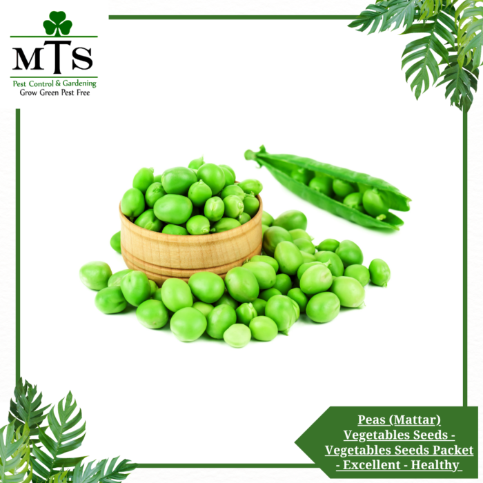 Peas (Mattar) Vegetables Seeds - Vegetables Seeds Packet - Excellent Germination - Healthy Vegetable