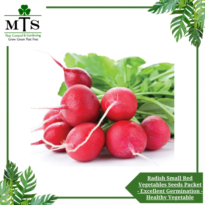 Radish Small Red Vegetables Seeds - Vegetables Seeds Packet - Excellent Germination - Healthy Vegetable