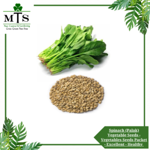 Spinach (Palak) Vegetables Seeds - Vegetables Seeds Packet - Excellent Germination - Healthy Vegetable