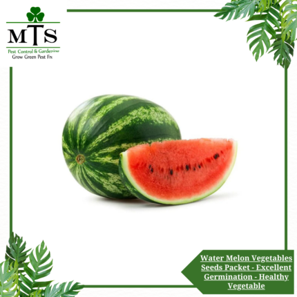Water Melon Vegetables Seeds - Vegetables Seeds Packet - Excellent Germination - Healthy Vegetable